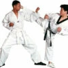 Tae Kwon Do V-Neck Uniform Gi With White Belt