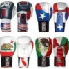 Ringside Boxing Limited Edition IMF Sparring Gloves - 16 Oz.