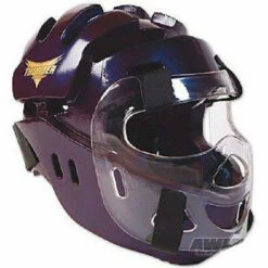 ProForce Thunder Full Headguard With Face Shield -boxing supplies shop KGrHqV lkFJu9WTy2 BSeWkWfMIw 60 1