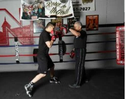 Ringside Elite Apex Boxing Shoes 15 Ringside Elite Apex Boxing Shoes -boxing supplies shop Ringside Elite Apex Boxing Shoes pic 2